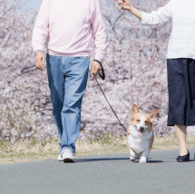 夫婦で散歩