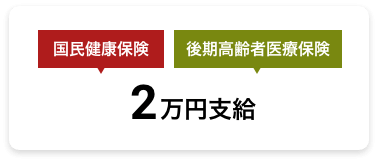 国民健康保険/後期高齢者医療保険 2万円支給