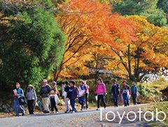 大の葬祭　提携店　ツーリズム豊後大野　豊旅