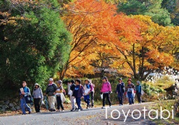 大の葬祭　提携店　ツーリズム豊後大野　豊旅