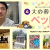 いいね！Onサタデー6月17日（サムネ）